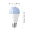 110418_DIMENSION_0001 | Eglo Romania Set 2 becuri LED E27 A60 11W + telecomandă 110418