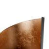 422652_DETAIL_0001 | Eglo Romania Felinar AMBONDRONA Ø220mm 422652