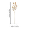 428367_DIMENSION_0001 | Eglo Romania Plantă artificială MIADOL Ø250mm 428367