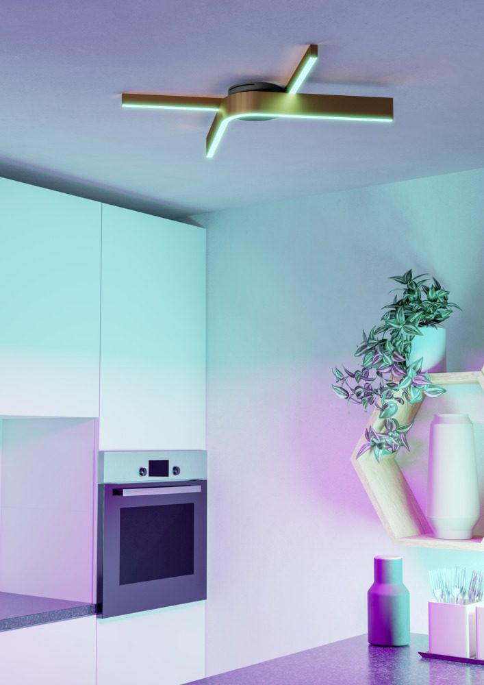 901863_AMBIENT_0001 | Eglo Romania Plafonieră FOLCINO-Z LED 2X18W IP20 901863