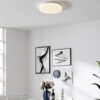 902196_AMBIENT_0001-JPG 1000px | Eglo Romania Plafonieră FRANIA-Z LED 12W IP20 902196