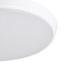 902218_DETAIL_0001 | Eglo Romania Plafonieră CONAVARELLA LED 22W IP65 902218