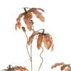428395_DETAIL_0001 | Eglo Romania Floare artificială SEMPORNA Ø120mm 428395
