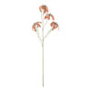 428396_VIEW_0001 | Eglo Romania Floare artificială SEMPORNA Ø120mm 428395
