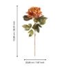 428411_DIMENSION_0001 | Eglo Romania Floare artificială SEMPORNA Ø200mm 428411