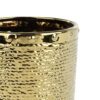 428243_DETAIL_0001 | Eglo Romania Ghiveci plante ARAMBERRI Ø140mm 428243