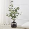 428251_AMBIENT_0001 | Eglo Romania Ghiveci plante ARROYITO Ø170mm 428251