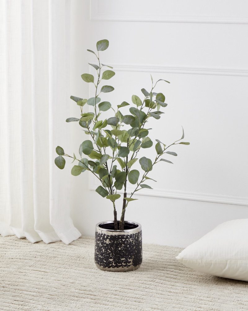 428251_AMBIENT_0001 | Eglo Romania Ghiveci plante ARROYITO Ø170mm 428251