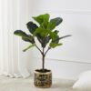428252_AMBIENT_0001 | Eglo Romania Ghiveci plante ARROYITO Ø170mm 428252