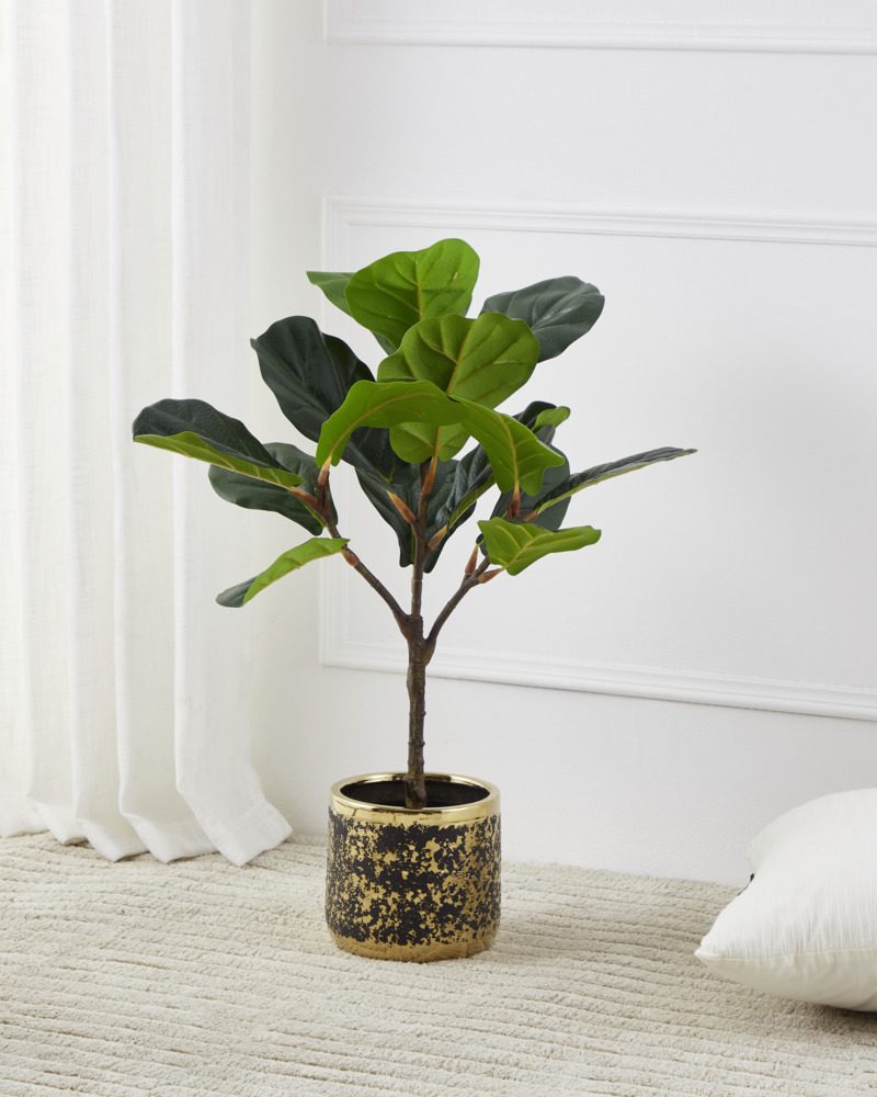 428252_AMBIENT_0001 | Eglo Romania Ghiveci plante ARROYITO Ø170mm 428252