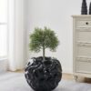 428315_AMBIENT_0001 | Eglo Romania Ghiveci plante ABBEYLARA Ø500mm 428315