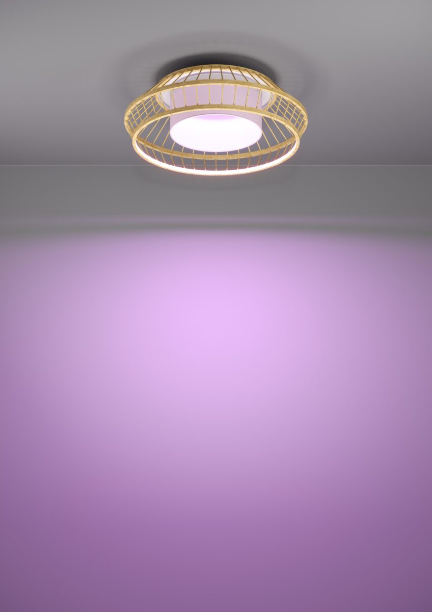 900841_FUNCTION_0004 | Eglo Romania Plafonieră YUKU-Z LED 22W IP20 900841