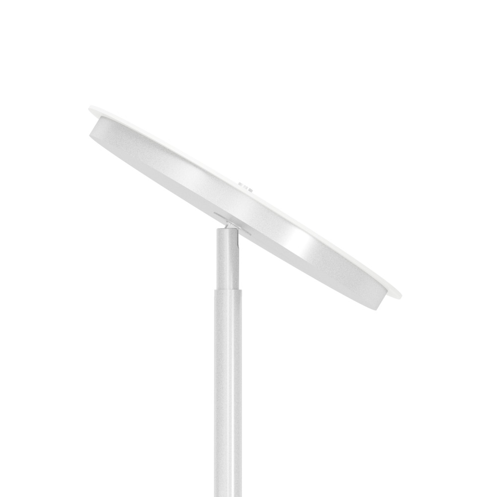 902531_DETAIL_0002 | Eglo Romania Lampadar PIAGNOLO LED 20W IP20 902531